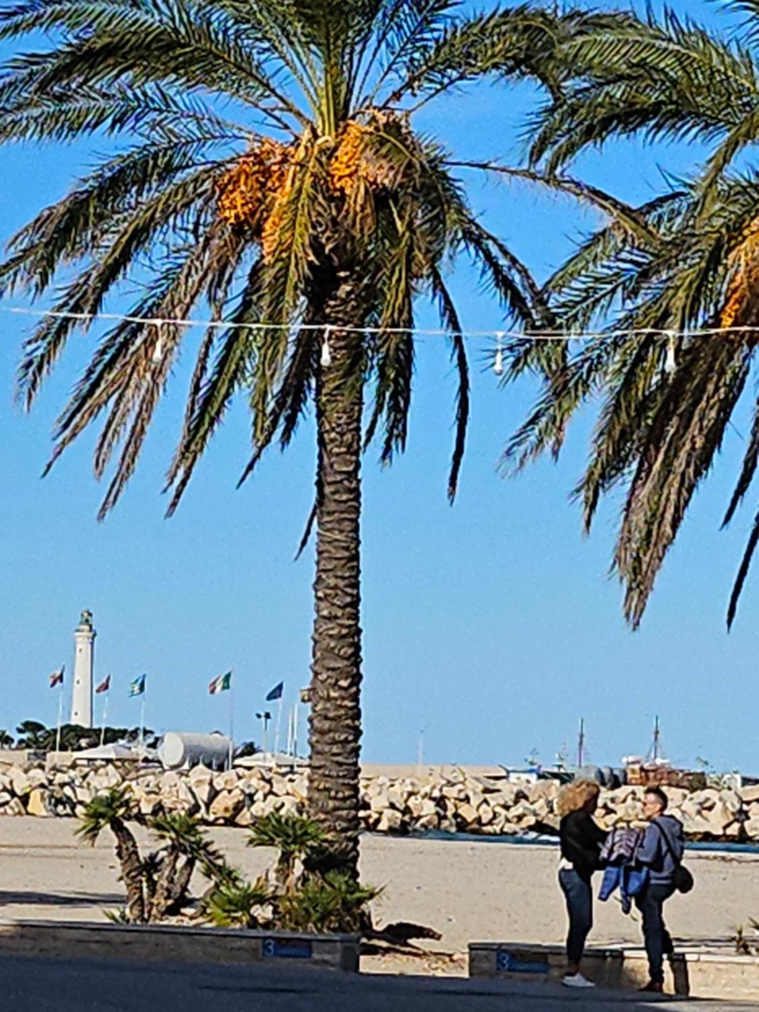 Cico Appartamento San Vito Lo Capo Zewnętrze zdjęcie
